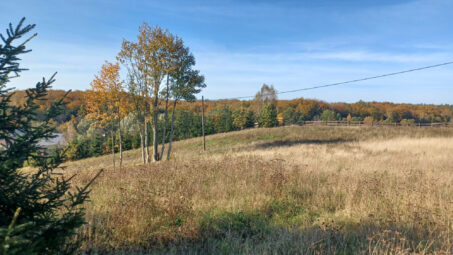 Działka przy drodze asfaltowej