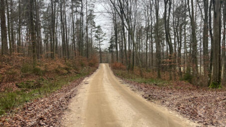 Działka położona przy samym lesie