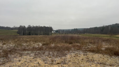 Działka położona przy samym lesie