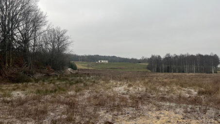 Działka położona przy samym lesie