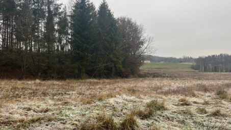 Działka położona przy samym lesie
