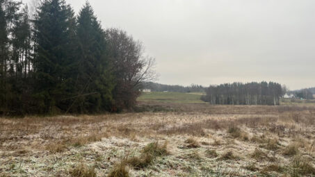 Działka położona przy samym lesie
