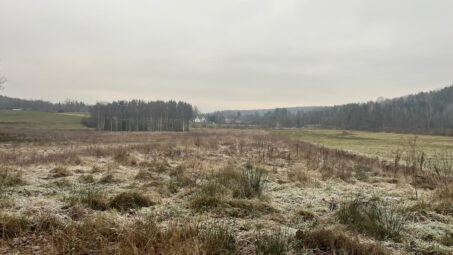 Działka położona przy samym lesie