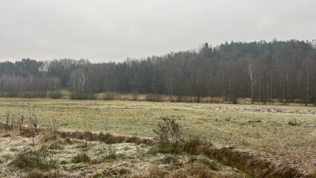 Działka położona przy samym lesie