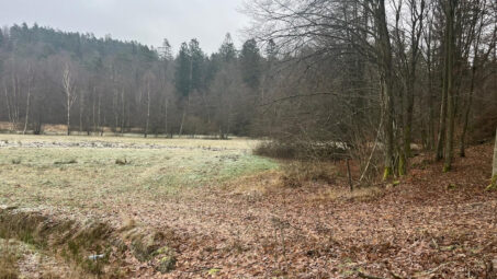 Działka położona przy samym lesie