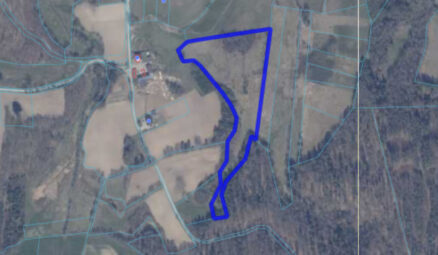 Działka położona przy samym lesie