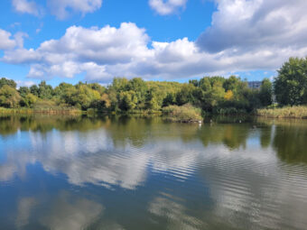 3 pokoje I balkon | 2. piętro | Blisko PKM