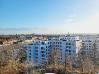 Widok na Starówkę Gdańską, dużo zieleni