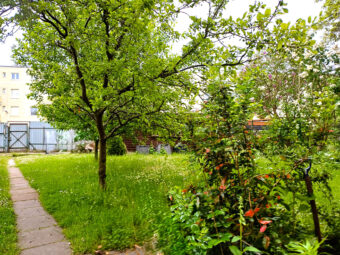 8 lokali na sprzedaż w budynku/inwestycja/Gdynia