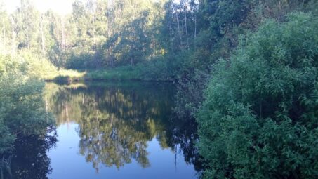 Działka pod Twoją ecoosadę !