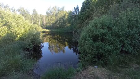 Działka pod Twoją ecoosadę !