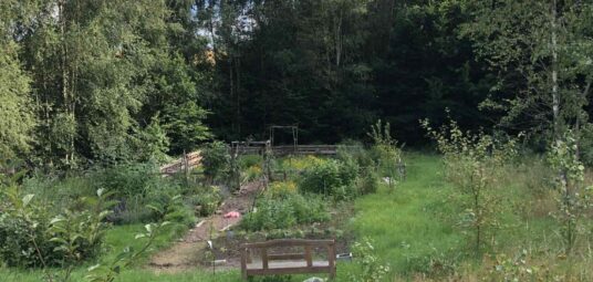 Cisza Ogród Kaszuby miejsce pod dom!