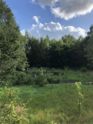 Cisza Ogród Kaszuby miejsce pod dom!