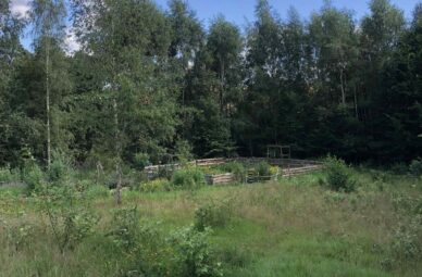 Cisza Ogród Kaszuby miejsce pod dom!