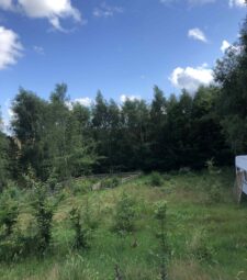 Cisza Ogród Kaszuby miejsce pod dom!