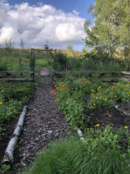 Cisza Ogród Kaszuby miejsce pod dom!