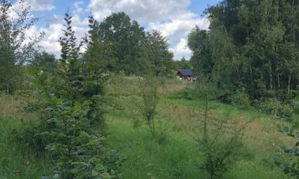 Cisza Ogród Kaszuby miejsce pod dom!
