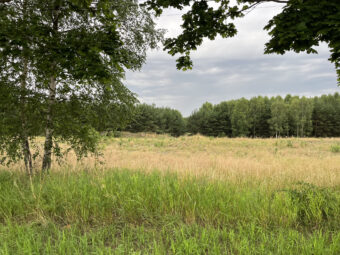 Działka na Kaszubach przy samym lesie