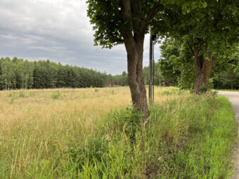Działka na Kaszubach przy samym lesie