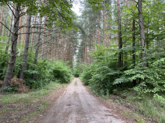 Lipy! Działka pod zabudowę jednorodzinną