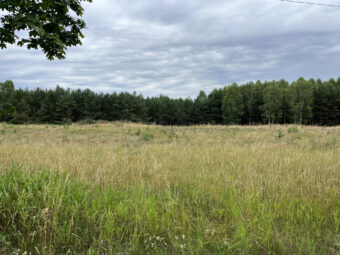 Lipy! Działka pod zabudowę jednorodzinną