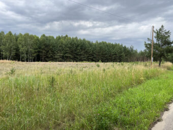 Lipy Działka na Kaszubach!