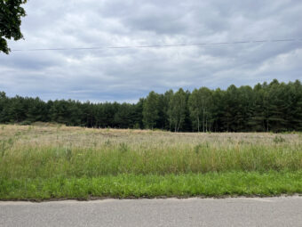 Lipy Działka na Kaszubach!