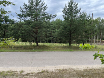 Lipy Działka na Kaszubach!