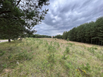 Lipy Działka na Kaszubach!