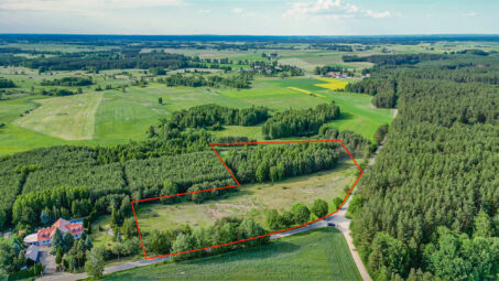 Lipy Działka na Kaszubach!