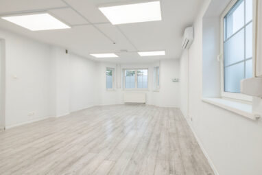 wolnostojący budynek biurowy z ogrodem