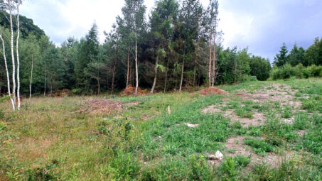 Działka budowlana w sąsiedztwie lasu!