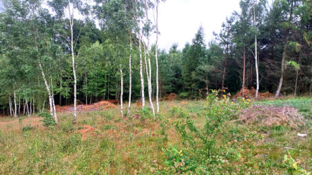 Działka budowlana w sąsiedztwie lasu!