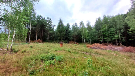 Działka budowlana w sąsiedztwie lasu!