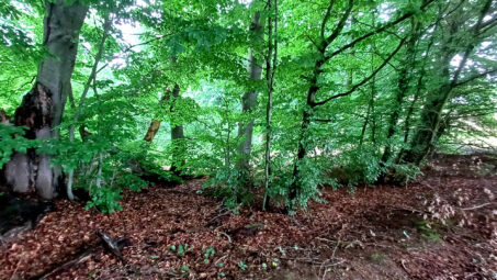 Działka budowlana w sąsiedztwie lasu!