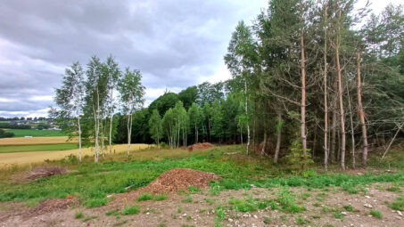 Działka budowlana w sąsiedztwie lasu!