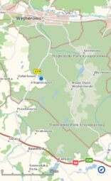 Działka budowlana w sąsiedztwie lasu!