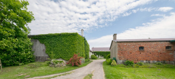 Żyj wolniej – magiczne miejsce z domem i stajnią