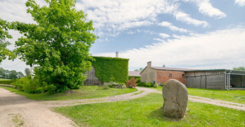 Żyj wolniej – magiczne miejsce z domem i stajnią