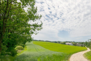 Żyj wolniej – magiczne miejsce z domem i stajnią