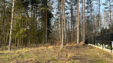 Działka w otoczeniu lasu dla pasjonatów przyrody