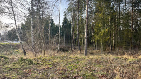 Działka w otoczeniu lasu dla pasjonatów przyrody