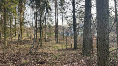 Działka w otoczeniu lasu dla pasjonatów przyrody