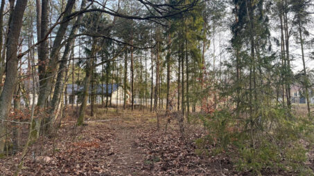 Działka w otoczeniu lasu dla pasjonatów przyrody