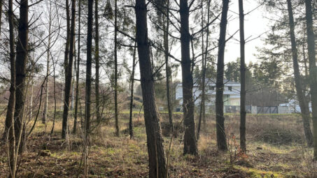Działka w otoczeniu lasu dla pasjonatów przyrody