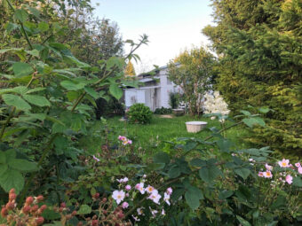 Działka ROD 312 m2 Rębiechowo