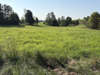 Uzbrojona działka z MPZP w pięknej okolicy