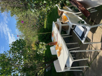 Działka ROD 312 m2 Rębiechowo