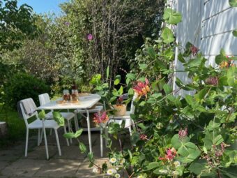 Działka ROD 312 m2 Rębiechowo