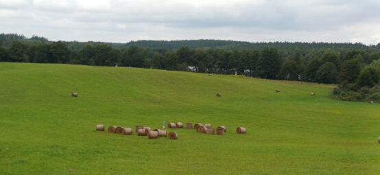 Działka blisko jeziora Dobrąg